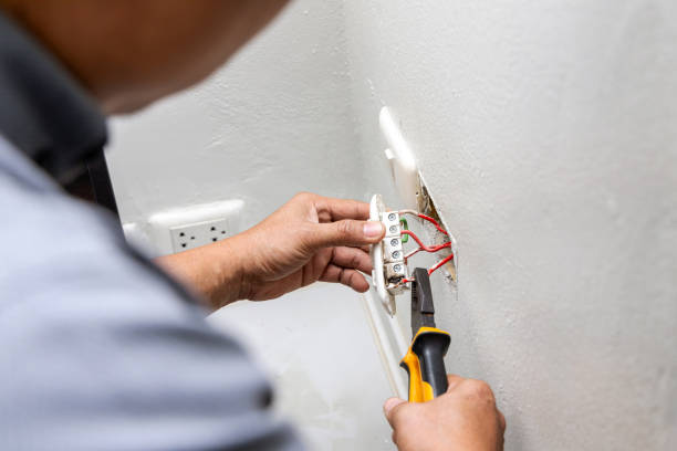 Best Electric Panel Repair  in Fort Mohave, AZ